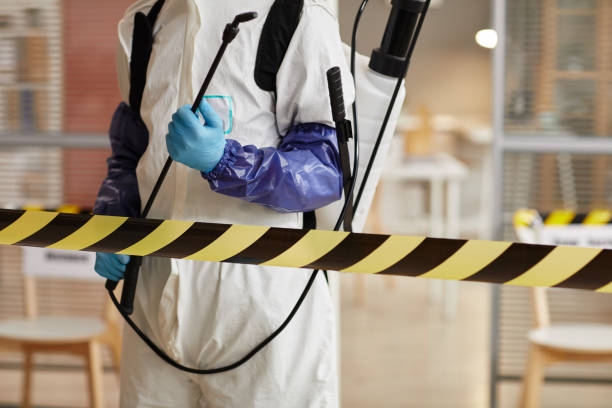 Professional Sewage Cleanup technician working in Springdale, PA
